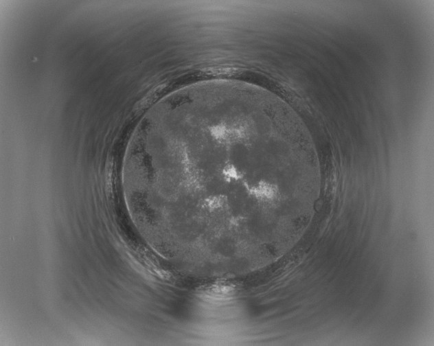X0000080150647200612081323