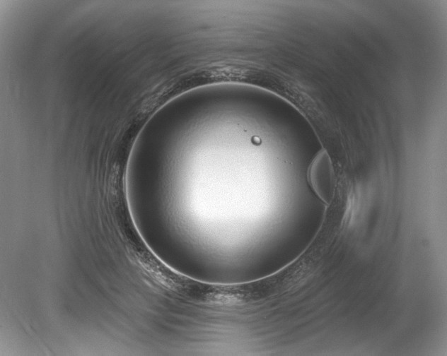 X0000080150649200612081323