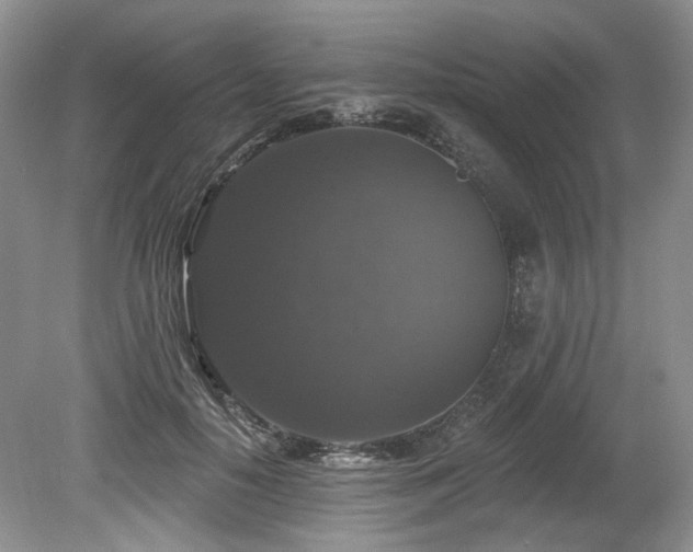 X0000080150650200612081323