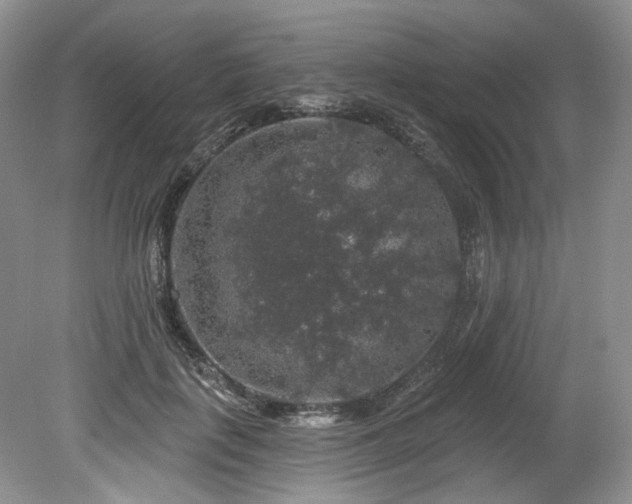 X0000080150651200612081323