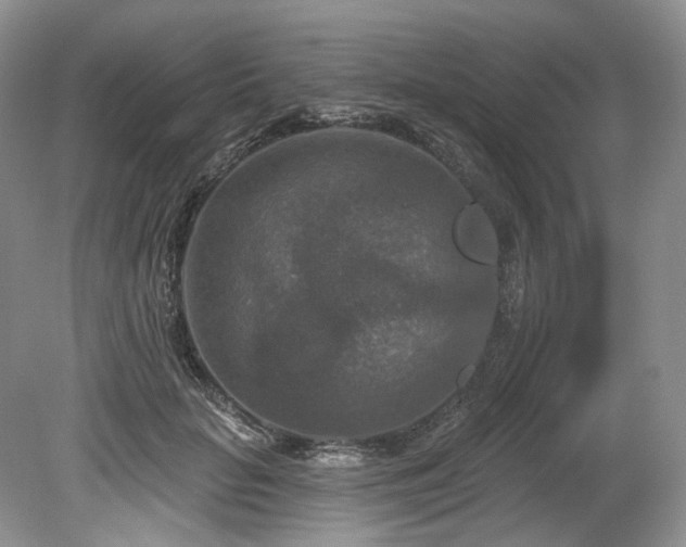 X0000080150653200612081323