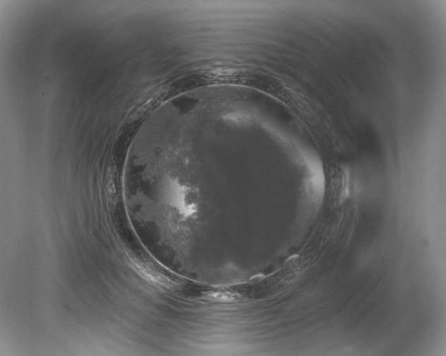 X0000080150654200612081323