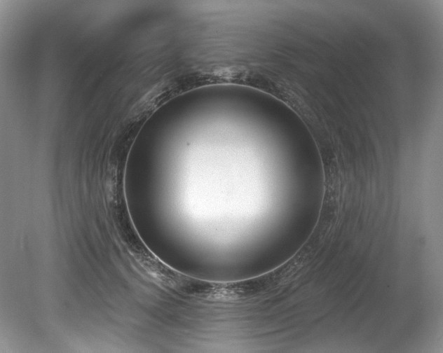 X0000080150656200612081323
