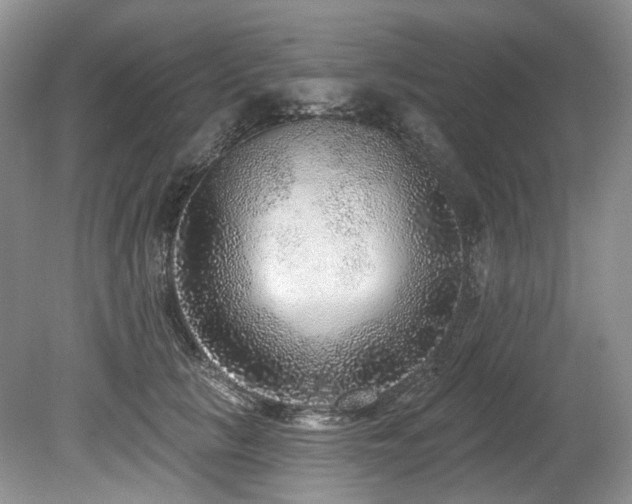 X0000080150657200612081323