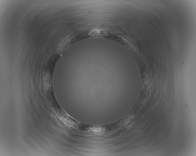 X0000080150659200612081323