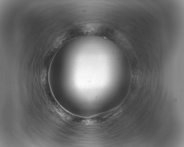X0000080150660200612081323