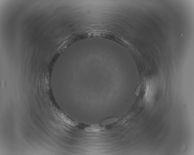 X0000080150661200612081323
