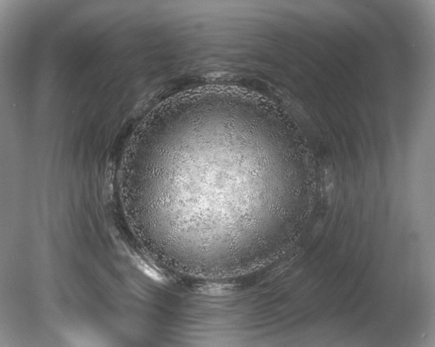 X0000080150664200612081323