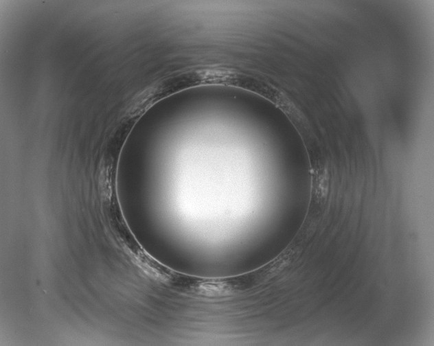 X0000080150666200612081323