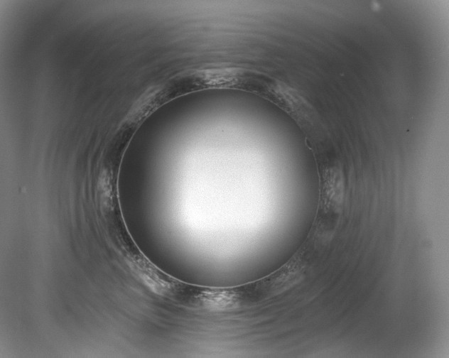 X0000080150667200612081323
