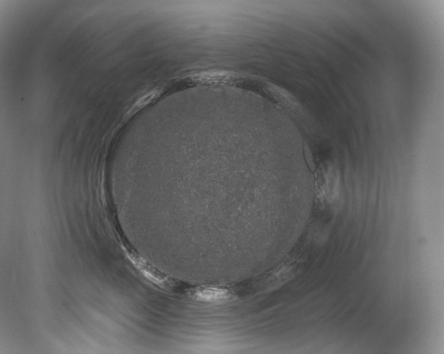 X0000080150669200612081323