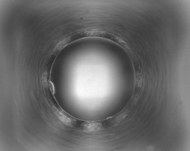 X0000080150670200612081323