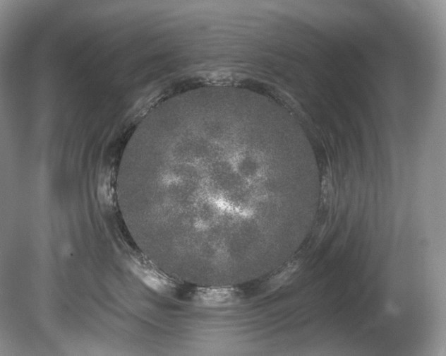 X0000080150671200612081323