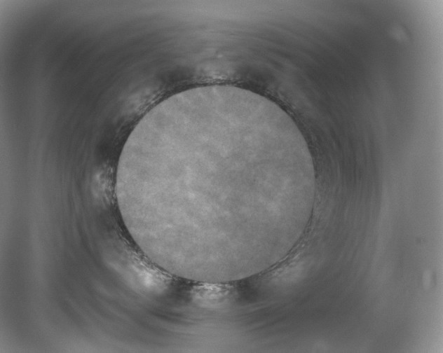 X0000080150672200612081323