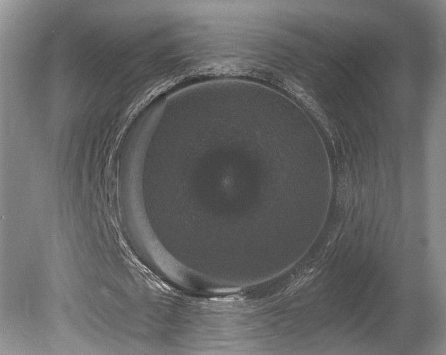 X0000080150673200612081322