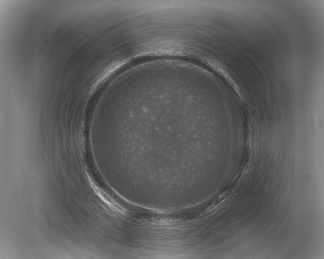 X0000080150677200612081322