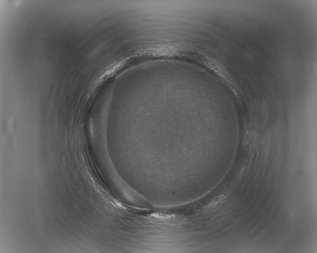 X0000080150681200612081322