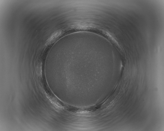 X0000080150685200612081322