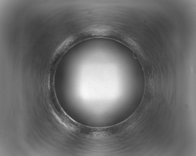 X0000080150686200612081322
