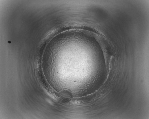 X0000080150687200612081322
