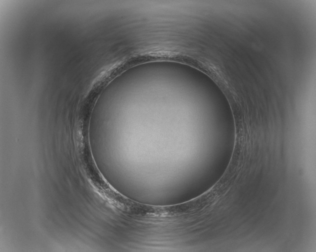 X0000080150688200612081322
