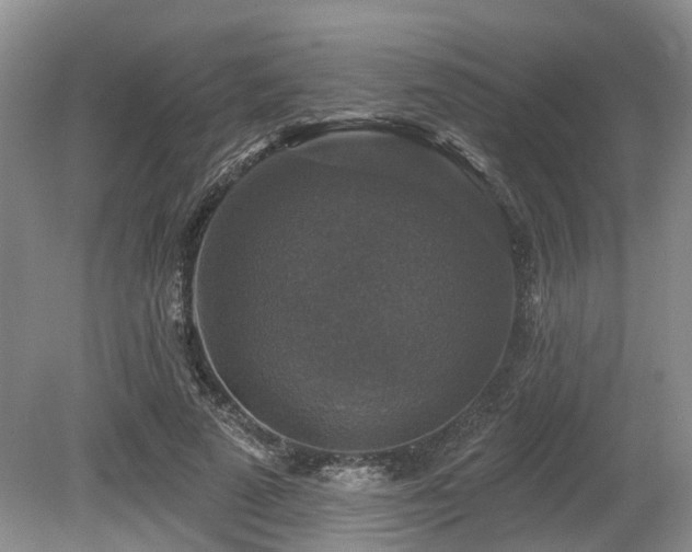 X0000080150689200612081322
