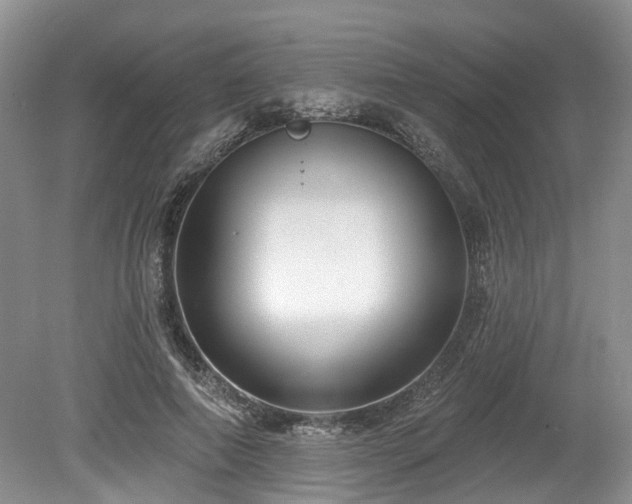 X0000080150690200612081322