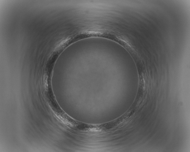 X0000080150692200612081322