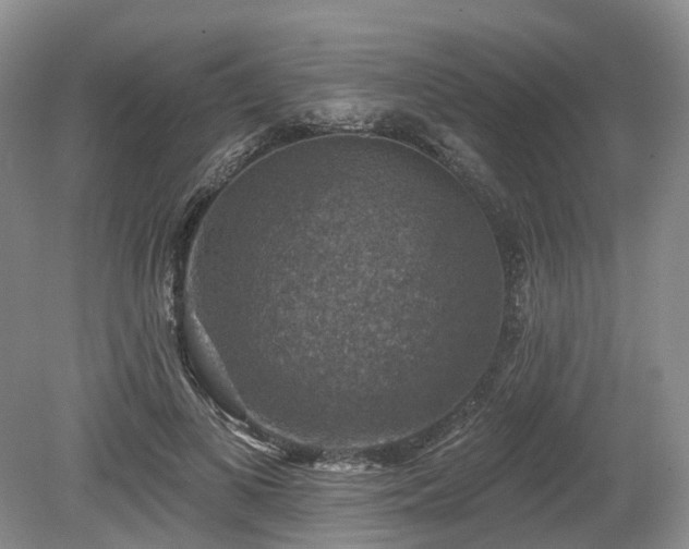 X0000080150693200612081322