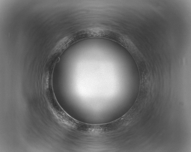 X0000080150694200612081322