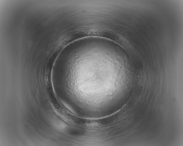 X0000080150695200612081322