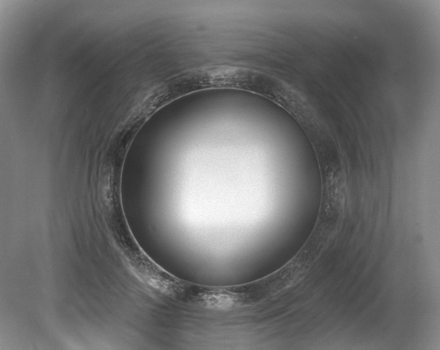 X0000080150698200612081322