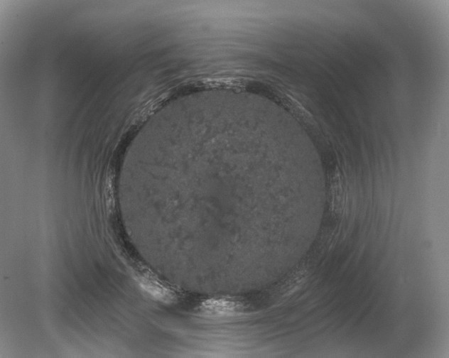 X0000080150699200612081322
