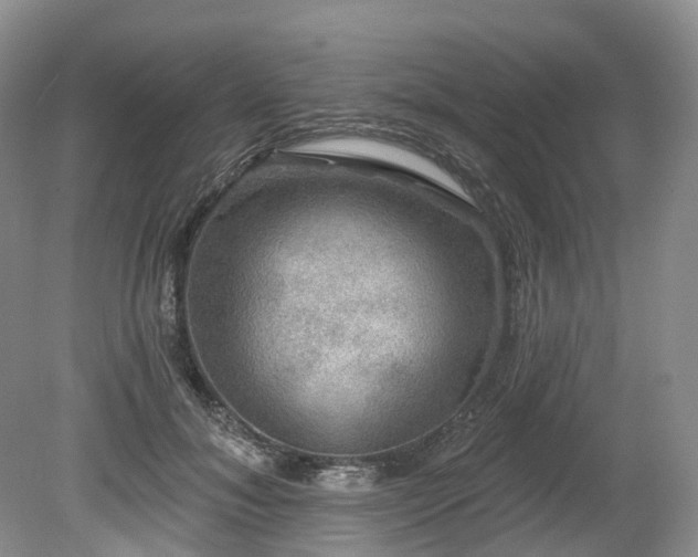 X0000080150700200612081322