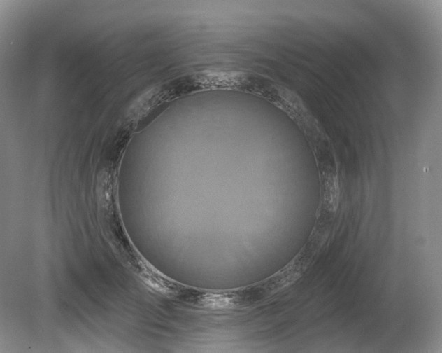 X0000080150701200612081322