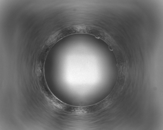 X0000080150702200612081322