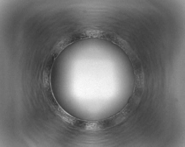 X0000080150705200612081322