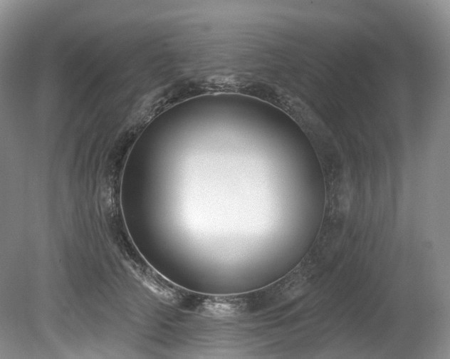 X0000080150706200612081322