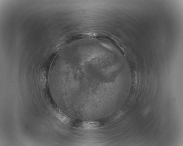 X0000080150707200612081322