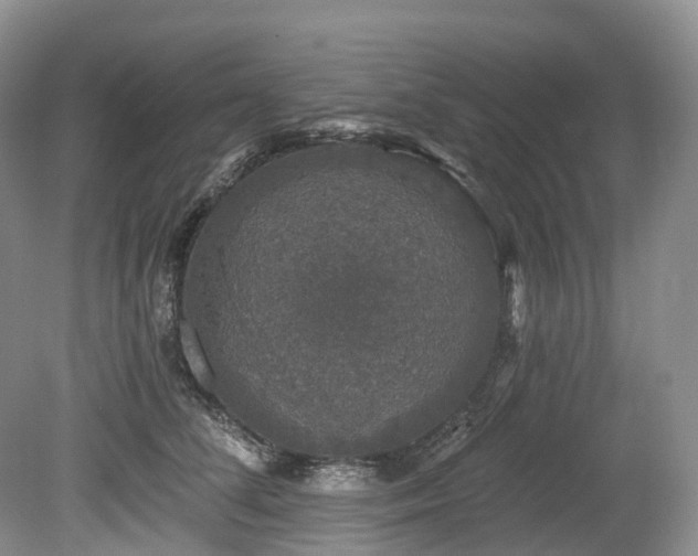 X0000080150708200612081322