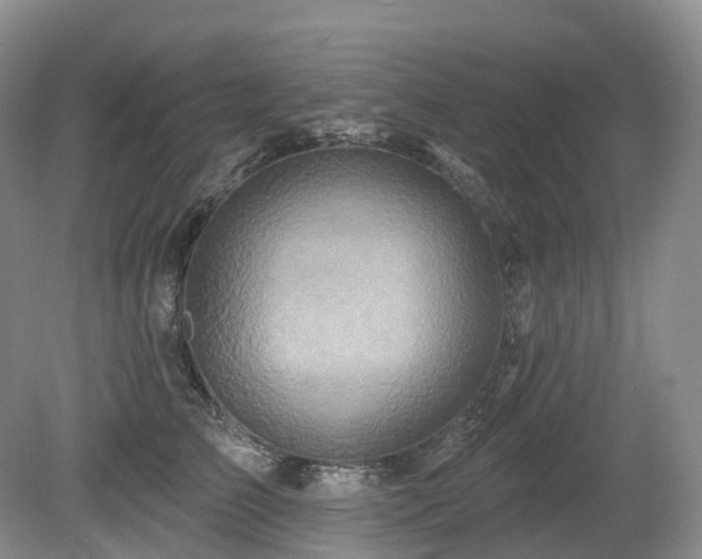 X0000080150709200612081322