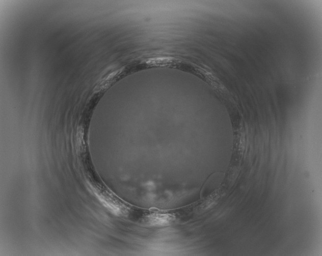 X0000080150711200612081322