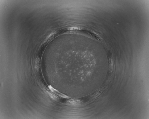 X0000080150712200612081322