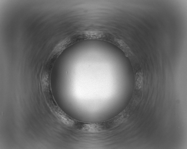 X0000080150713200612081322