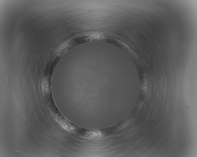 X0000080150715200612081322