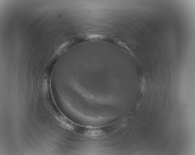 X0000080150716200612081322