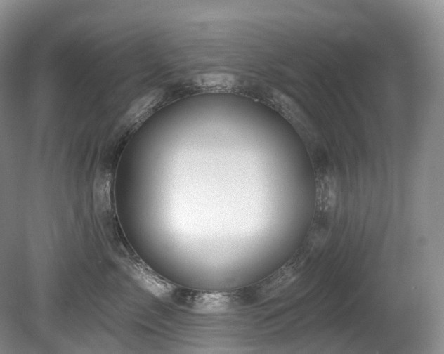 X0000080150717200612081322