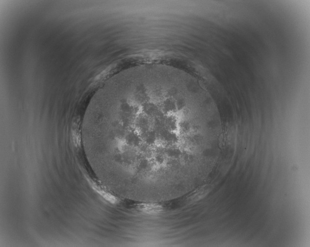 X0000080150719200612081322