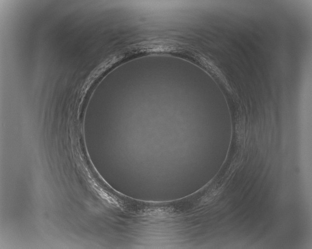 X0000080150721200612081321