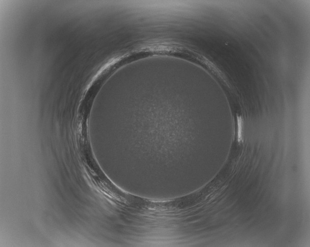X0000080150723200612081321